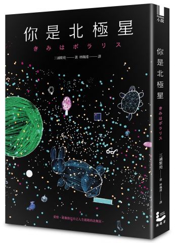 你是北極星