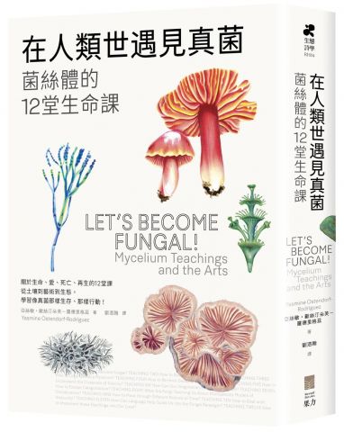 在人類世遇見真菌：菌絲體的12堂生命課 