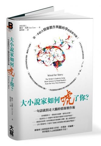 大小說家如何唬了你？：一句話就拐走大腦的情節製作術