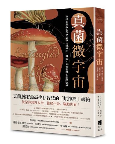 真菌微宇宙：地球上最高生存智慧的「類神經」網絡，最優雅的生態鍊金師