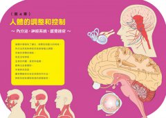 法醫才看得到的人體奧祕 圖片 8