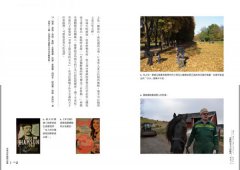 北歐超完美丈夫的秘密：做家事帶小孩不過是份內的事而已 圖片 6