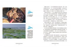 台灣魚達人帶你環島吃海鮮 圖片 3