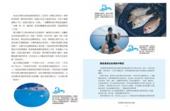台灣魚達人帶你環島吃海鮮 圖片 4