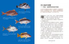 台灣魚達人帶你環島吃海鮮 圖片 5