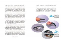 台灣魚達人帶你環島吃海鮮 圖片 7