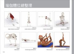 瑜伽3D解剖書：24組關鍵肌肉群＋46式正宗瑜伽體位 圖片 6