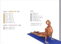 瑜伽3D解剖書：24組關鍵肌肉群＋46式正宗瑜伽體位 圖片 2
