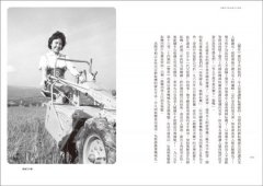 美援年代的鳥事並不如煙 圖片 9