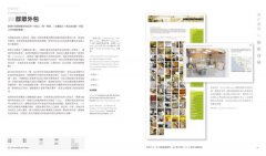 設計的方法：100個分析難題，跟成功商品取經，讓設計更棒、更好的有效方法 圖片 5