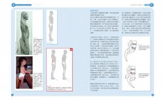 零痠痛！人體正確使用姿勢書：脊椎校準坐、臥、站、走的零壓迫動作圖解 圖片 4