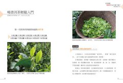 紅酒能，普洱茶為什麼不能 圖片 3