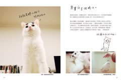家有諧星貓：享受呼嚕呼嚕的幸福感 圖片 5
