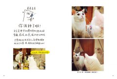 家有諧星貓：享受呼嚕呼嚕的幸福感 圖片 6