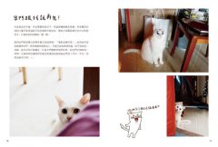 家有諧星貓：享受呼嚕呼嚕的幸福感 圖片 8
