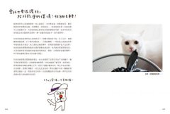 家有諧星貓：享受呼嚕呼嚕的幸福感 圖片 9