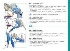 瑜伽最適體位3D解剖書：5個步驟，量身定做最適合你的瑜伽體位 圖片 5