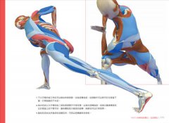 瑜伽最適體位3D解剖書：5個步驟，量身定做最適合你的瑜伽體位 圖片 8