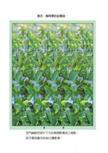 最新的老眼回復法：老花眼、白內障、青光眼、老年黃斑部病變，統統有效！即使活到100歲也能保持正常視力！(隨書附贈DIY平衡眼罩) 圖片 2