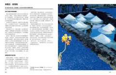 當代花園的奇境：都會的自然秘境，當代園藝的景觀設計學、進化論與賞遊指南 圖片 2