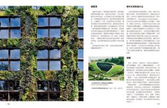 當代花園的奇境：都會的自然秘境，當代園藝的景觀設計學、進化論與賞遊指南 圖片 5