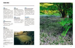 當代花園的奇境：都會的自然秘境，當代園藝的景觀設計學、進化論與賞遊指南 圖片 9