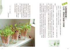 超簡單！無陽台室內小菜園：馬上就能播種的居家自種蔬菜法 圖片 4