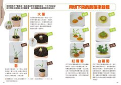 超簡單！無陽台室內小菜園：馬上就能播種的居家自種蔬菜法 圖片 6