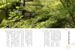三回目的京都：Milly的日常感關西旅行提案  圖片 5