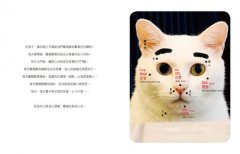 吉人痣有天相（附吉祥動物園★小故事本）：家有諧星貓我是白吉 圖片 4