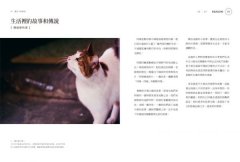 在台南生活的一百個理由 圖片 4