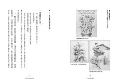 不要畫筆的繪畫教室：認識藝術的本質，你最需要的一堂課 圖片 8