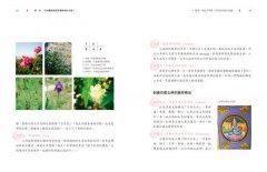 女人的芳香私療法：Gina老師教妳用精油啟動女神能量，調癒身心，告別惱人的婦科症狀 圖片 8
