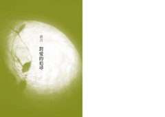 愛，從接納自己開始：發現愛，深入關係，到與萬物合一的旅程 圖片 2