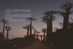 想入非非：一個人的東非130天大縱走 圖片 14