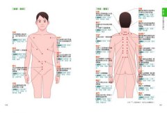 圖解東洋醫學：60帖中醫保健處方×60種常用中藥材×人體經穴圖完全公開 圖片 14