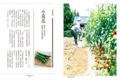 日本農家の季節家常味：教你挑、煮、切、醃漬、保存、自製萬能醬汁，學會最實用的日系料理智慧 圖片 8