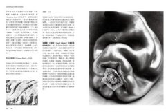 讀‧攝影：打開宏觀時代、微觀生命的創作之眼，觀看攝影的史詩之作 圖片 6