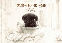 流浪的毛小孩，帕古 圖片 2