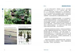 辭職旅行的意義：拉丁美洲的感動；讓自己進化成更好的人 圖片 4