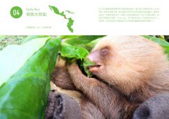 辭職旅行的意義：拉丁美洲的感動；讓自己進化成更好的人 圖片 7