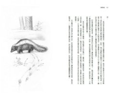 沙郡年紀：像山一樣思考，荒野詩人寫給我們的自然之歌 圖片 4