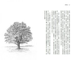 沙郡年紀：像山一樣思考，荒野詩人寫給我們的自然之歌 圖片 5