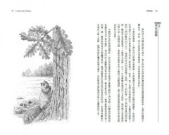 沙郡年紀：像山一樣思考，荒野詩人寫給我們的自然之歌 圖片 8