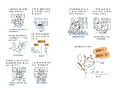 過得還不錯的一輩子：打造貓奴的幸福生活手冊（家貓成功上位指南+圖文並茂版） 圖片 6