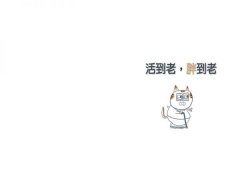 過得還不錯的一輩子：打造貓奴的幸福生活手冊（家貓成功上位指南+圖文並茂版） 圖片 7