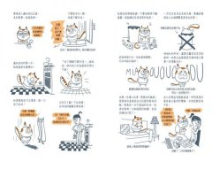 過得還不錯的一輩子：打造貓奴的幸福生活手冊（家貓成功上位指南+圖文並茂版） 圖片 8