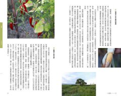 一日宜蘭人：親水樂農、依山傍海、舊城慢遊的理想生活 圖片 8
