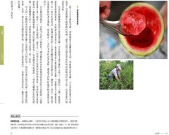 一日宜蘭人：親水樂農、依山傍海、舊城慢遊的理想生活 圖片 9