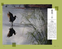 一日宜蘭人：親水樂農、依山傍海、舊城慢遊的理想生活 圖片 10